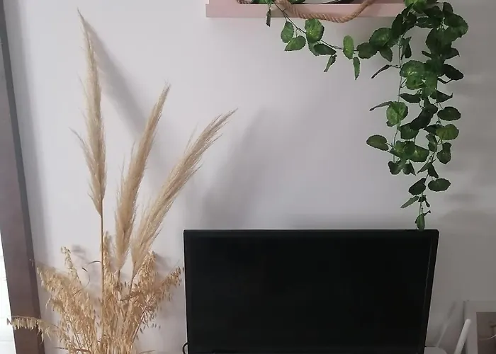 Tara Aqua Park Jagodina